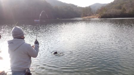 フィッシングレイクたかみや 釣果