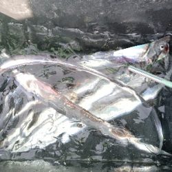 今年度最後の乗合船