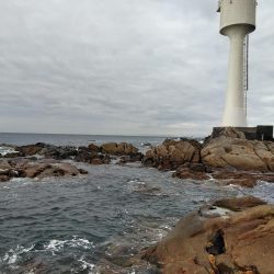 フカセ‥釣れないですネ・・