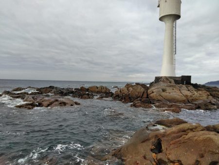 フカセ‥釣れないですネ・・