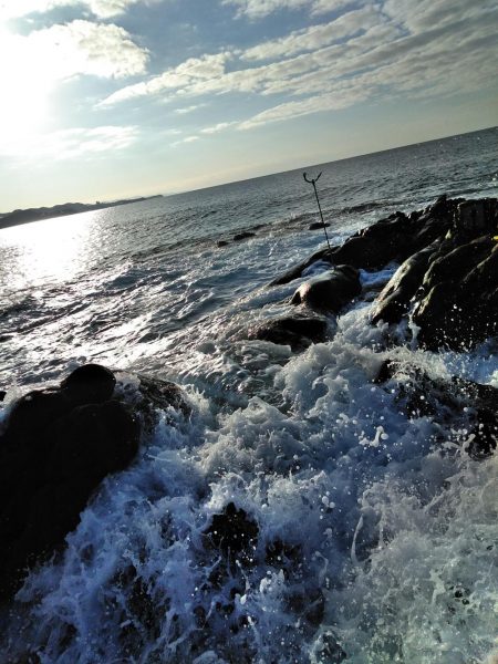 フカセ‥釣れないですネ・・