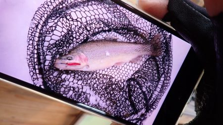 フィッシングレイクたかみや 釣果