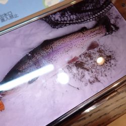 フィッシングレイクたかみや 釣果