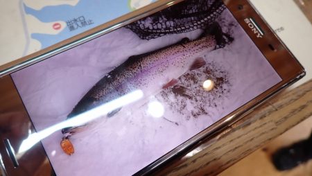 フィッシングレイクたかみや 釣果