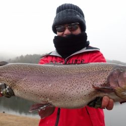 フィッシングレイクたかみや 釣果