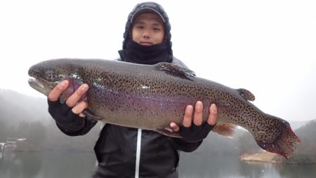 フィッシングレイクたかみや 釣果