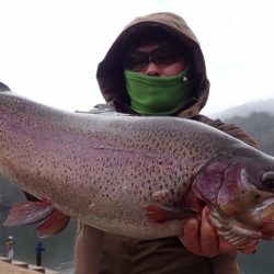 フィッシングレイクたかみや 釣果