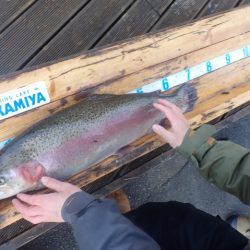 フィッシングレイクたかみや 釣果