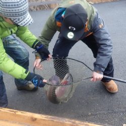 フィッシングレイクたかみや 釣果