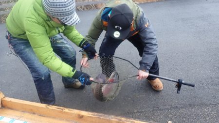 フィッシングレイクたかみや 釣果