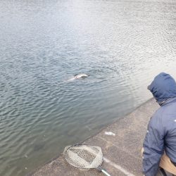 フィッシングレイクたかみや 釣果