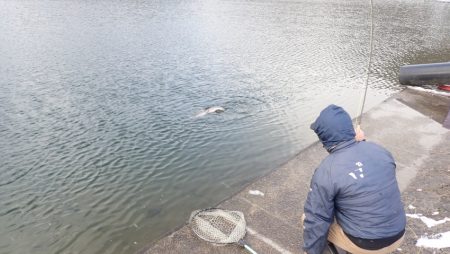 フィッシングレイクたかみや 釣果