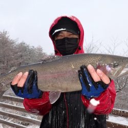 フィッシングレイクたかみや 釣果