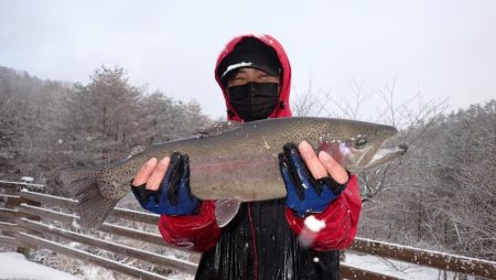 フィッシングレイクたかみや 釣果