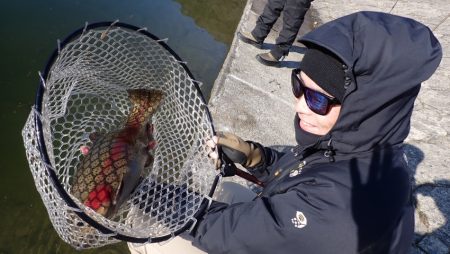 フィッシングレイクたかみや 釣果