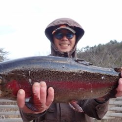 フィッシングレイクたかみや 釣果