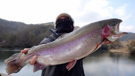 フィッシングレイクたかみや 釣果