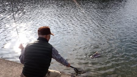 フィッシングレイクたかみや 釣果