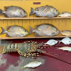 本部釣りイカダ 釣果