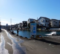 朝霞ガーデン 釣果