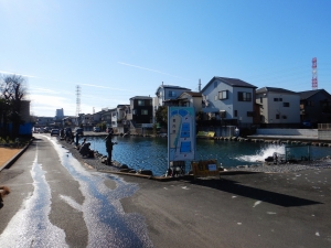 朝霞ガーデン 釣果