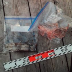 こかわ渡船　雅丸 釣果