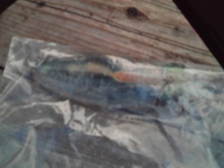 こかわ渡船　雅丸 釣果