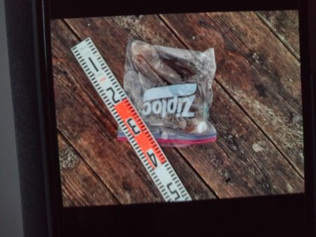 こかわ渡船　雅丸 釣果