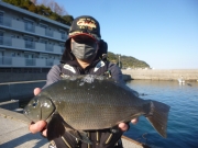 春日丸 釣果