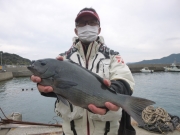 春日丸 釣果