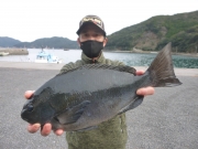 春日丸 釣果