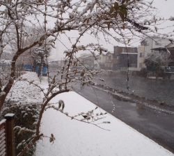 朝霞ガーデン 釣果