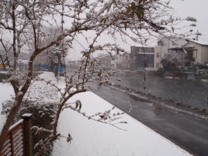 朝霞ガーデン 釣果