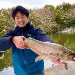 フィッシング サンクチュアリ 釣果