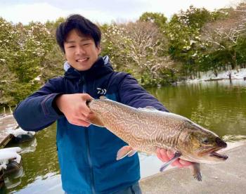 フィッシング サンクチュアリ 釣果