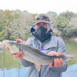 フィッシング サンクチュアリ 釣果