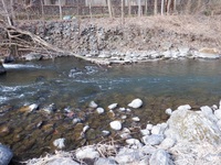 秩父フライフィールド 釣果