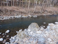 秩父フライフィールド 釣果