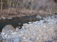 秩父フライフィールド 釣果