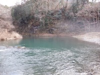 秩父フライフィールド 釣果