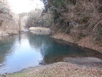 秩父フライフィールド 釣果