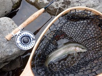 秩父フライフィールド 釣果