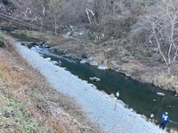 秩父フライフィールド 釣果