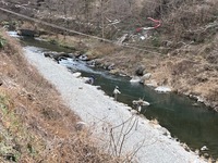 秩父フライフィールド 釣果