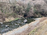 秩父フライフィールド 釣果
