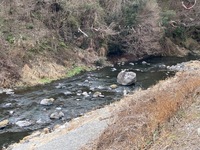 秩父フライフィールド 釣果