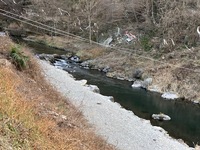 秩父フライフィールド 釣果