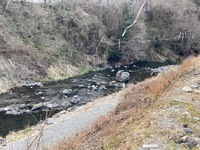 秩父フライフィールド 釣果