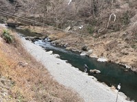 秩父フライフィールド 釣果