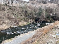 秩父フライフィールド 釣果